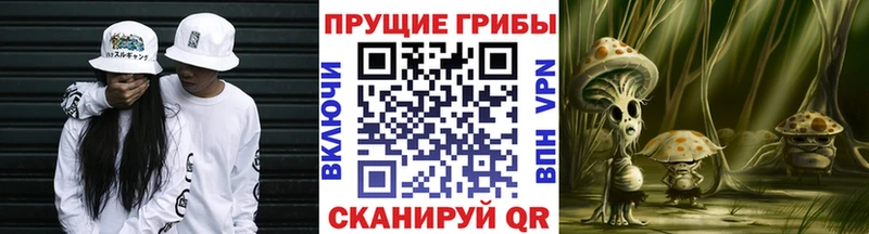 наркошоп  Первомайск  Галлюциногенные грибы GOLDEN TEACHER 